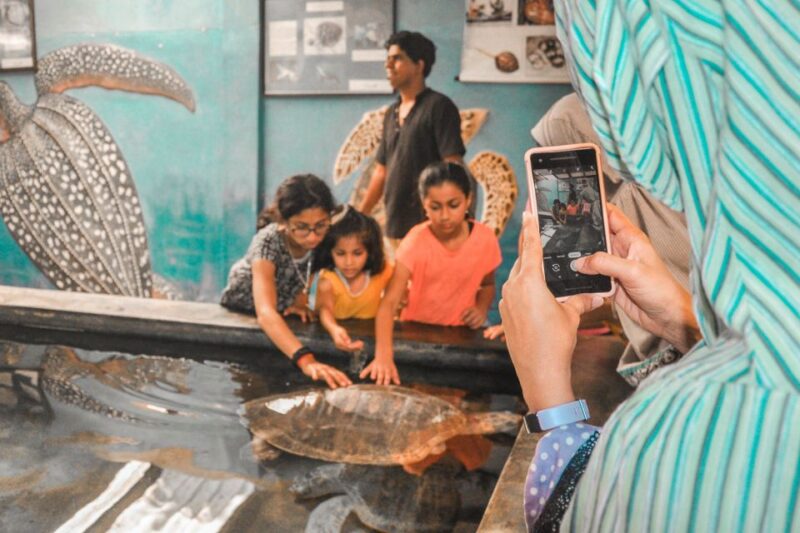 From Kalutara: Handungoda, Galle, and Kosgoda - Key Points