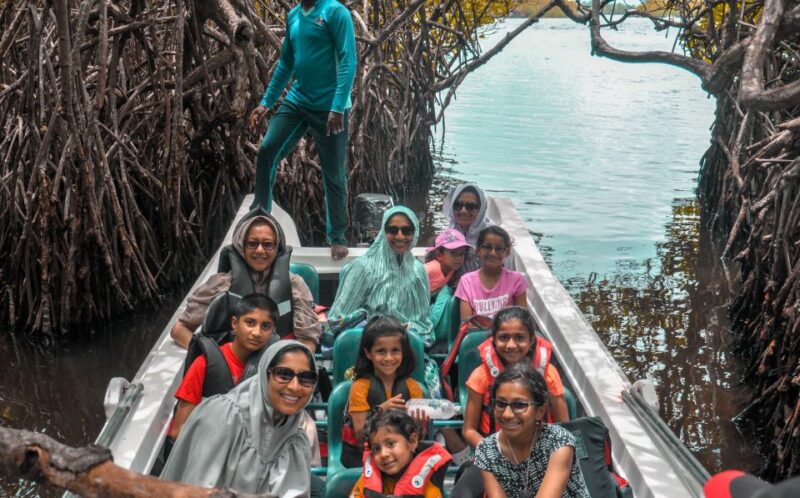 From Kalutara: Lunuganga Estate, Turtles and Madu River Tour - Key Points