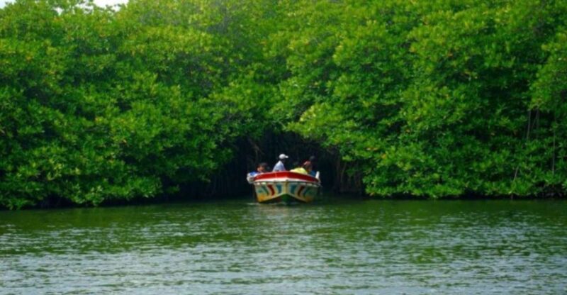 From Kalutara: Madu River Safari & Turtle Hatchery Visit - Itinerary and Experience