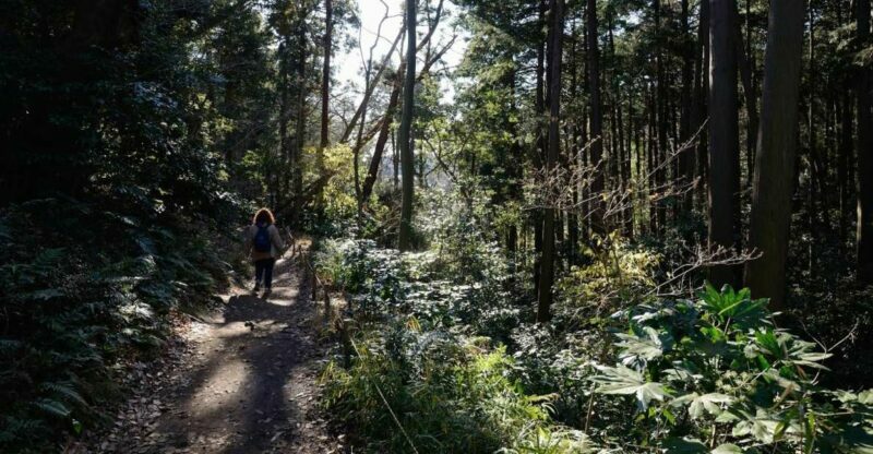 From Kamakura: Daibutsu Hiking Trail Tour with Local Guide - Key Points
