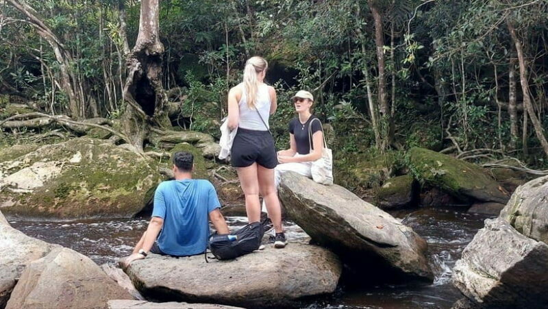 From Kampot: Bokor National Park Scenic Tour - An In-Depth Look at the Bokor National Park Scenic Tour