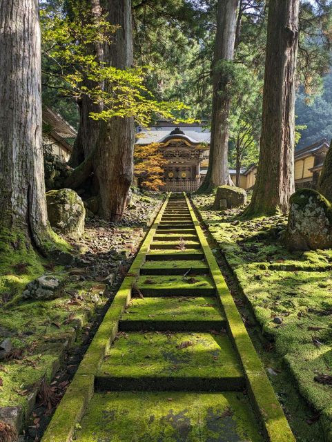 From Kanazawa: Eiheiji Buddhist Temple & Fukui Castle Town - Exploring Fukui Castle Town
