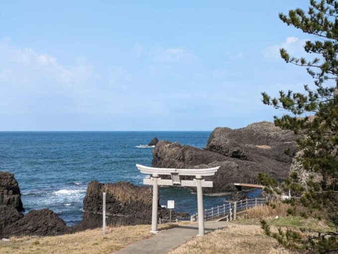 From Kanazawa: Fukuis Stunning Cliffs, Island, and Port - Tojinbo Cliffs and Mikuni Port