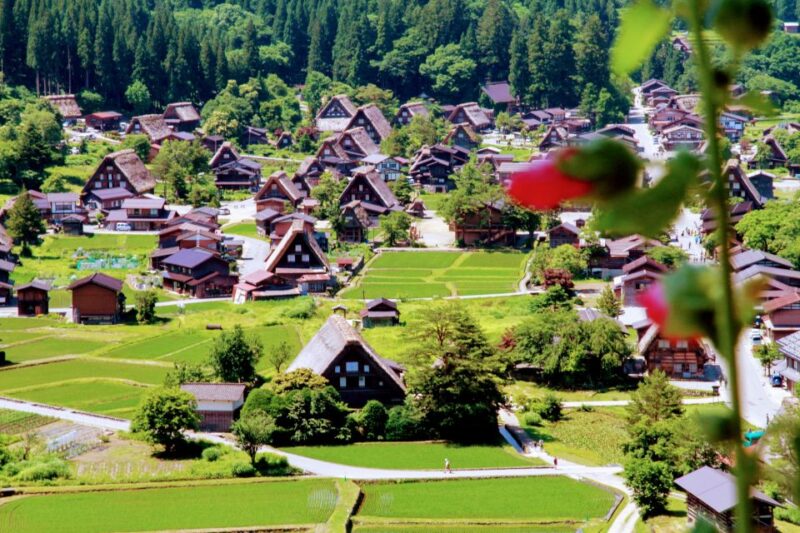 From Kanazawa: Shirakawago, Hida-Furukawa and Takayama Visit - Discover Takayama