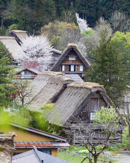 From Kanazawa/Toyama: Shirakawago and Takayama Day Tour - Key Points