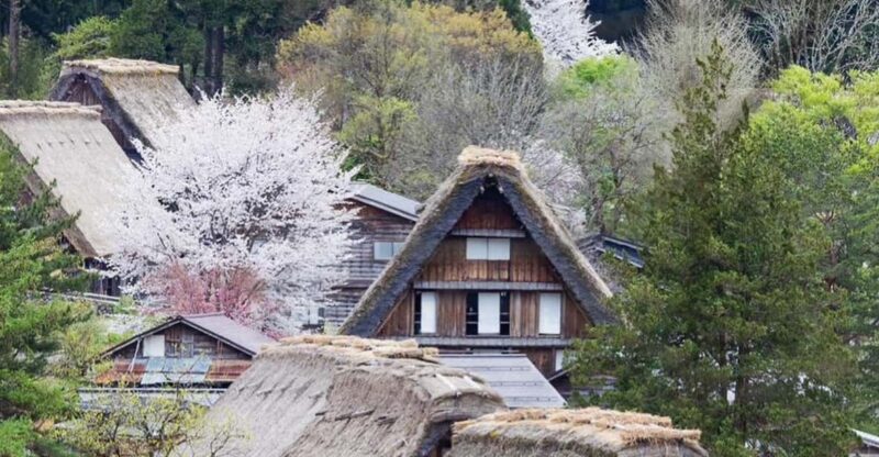 From Kanazawa/Toyama: Shirakawago and Takayama Day Tour - Takayama Jinya: Taking in the Local Experience