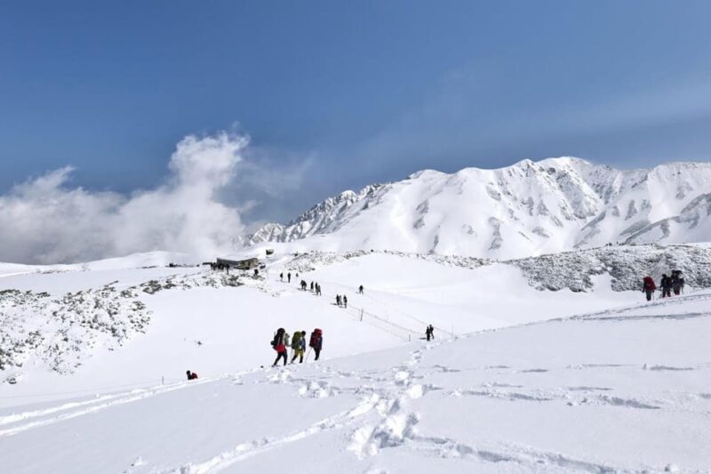 From Kanazawa/Toyama: Snow Wall & Mysterious Valley Day Tour - Itinerary