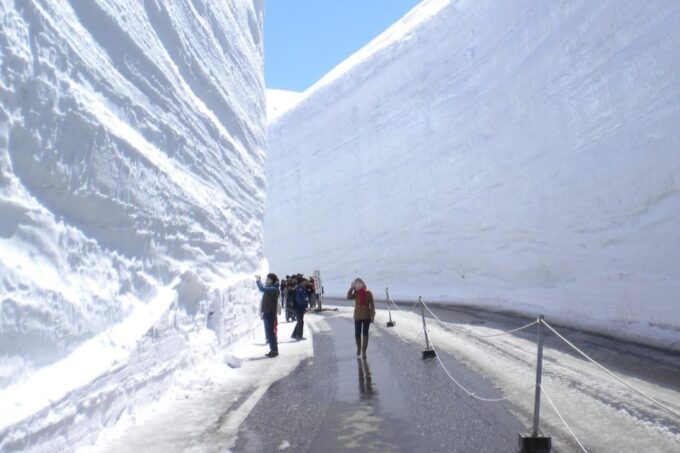 From Kanazawa/Toyama: Snow Wall & Mysterious Valley Day Tour - FAQ