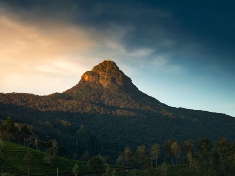 From Kandy: Adams Peak Trekking & Epic Guided Hike - Highlights and Unique Features