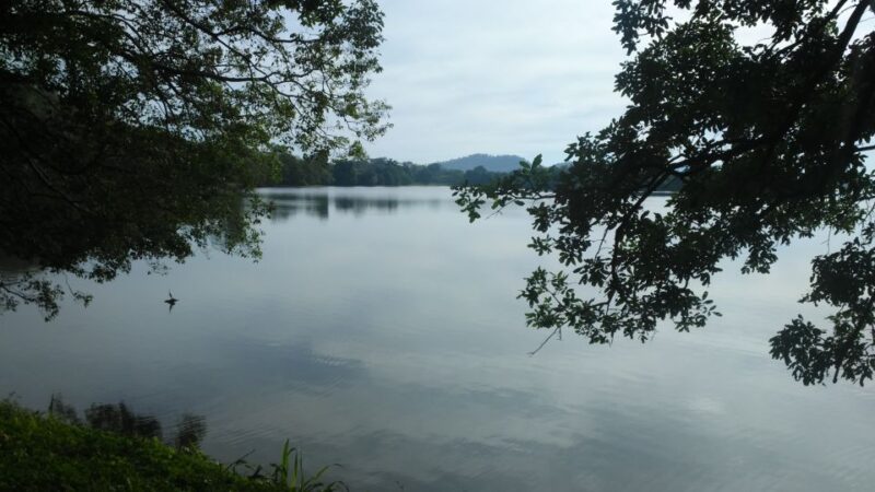 From Kandy: All-Inclusive 2 Nights Guided Tour of Sri Lanka - Day 1 Itinerary: Kandy to Mahiyanganaya