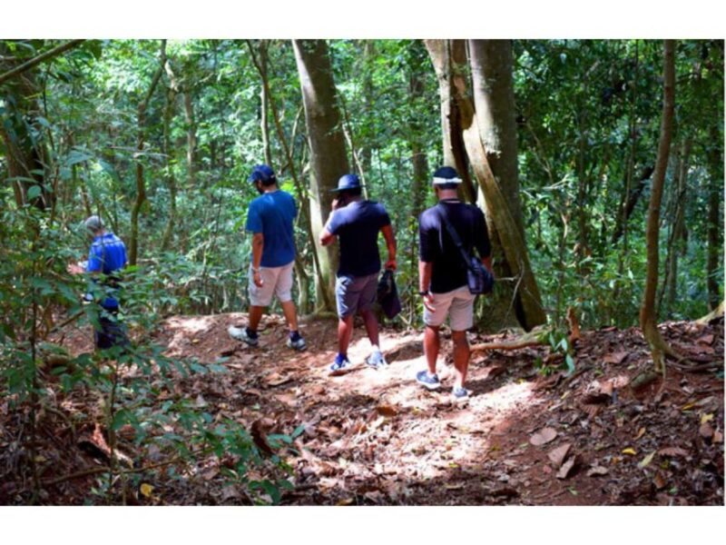 From Kandy: Bird Watching Tour to Udawatte Kele Sanctuary - Key Points