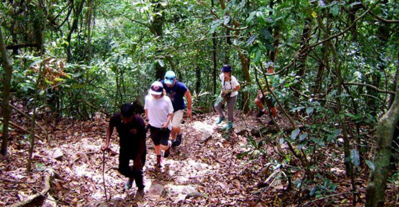 From Kandy: Bird Watching Tour to Udawatte Kele Sanctuary - Sanctuary Highlights