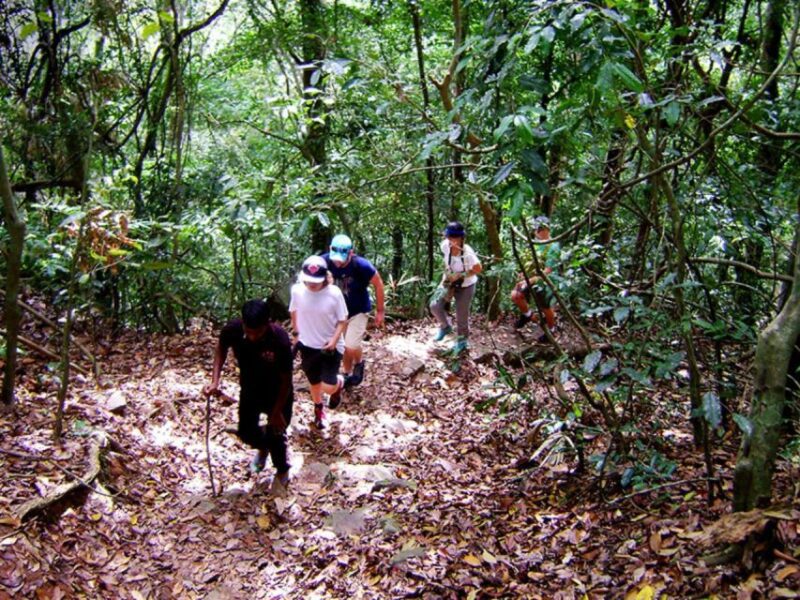 From Kandy: Bird Watching Tour to Udawatte Kele Sanctuary - Free Cancellation Policy