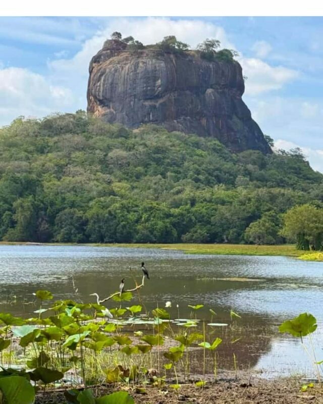 From Kandy: Dambulla to Sigiriya Day Trip By Car - Practical Details: What You Need to Know