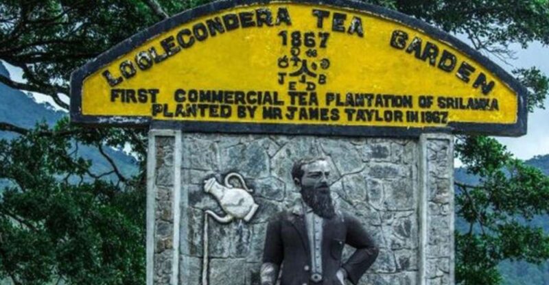 From Kandy: James Taylor's Tea Tour (The Tale of Ceylon Tea) - Tour Features