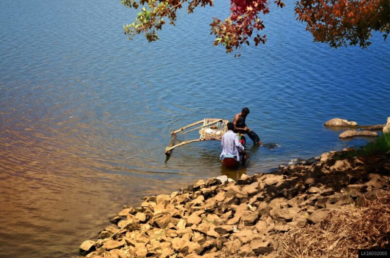 From Kandy: Mahiyanganya and Dambana Day Trip - Key Points