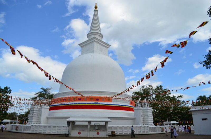 From Kandy: Mahiyanganya and Dambana Day Trip - Transportation and Services