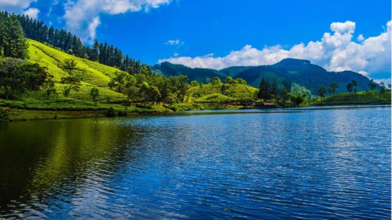 From Kandy: Matale Region Tour - Itinerary and Schedule