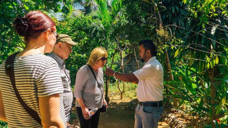 From Kandy: Matale Region Tour - Cancellation and Payment Options