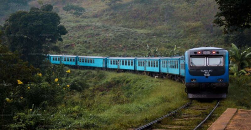 From Kandy: Nuwara Eliya by Train - Key Points
