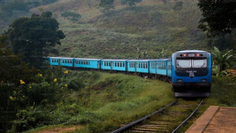 From Kandy: Nuwara Eliya by Train - Transportation and Inclusions