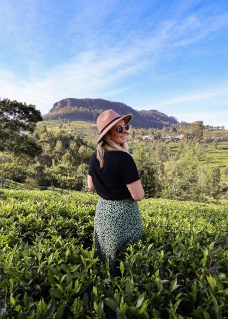 From Kandy: Nuwara Eliya & Ramboda Waterfall Day Tour by Tuk - Morning Departure