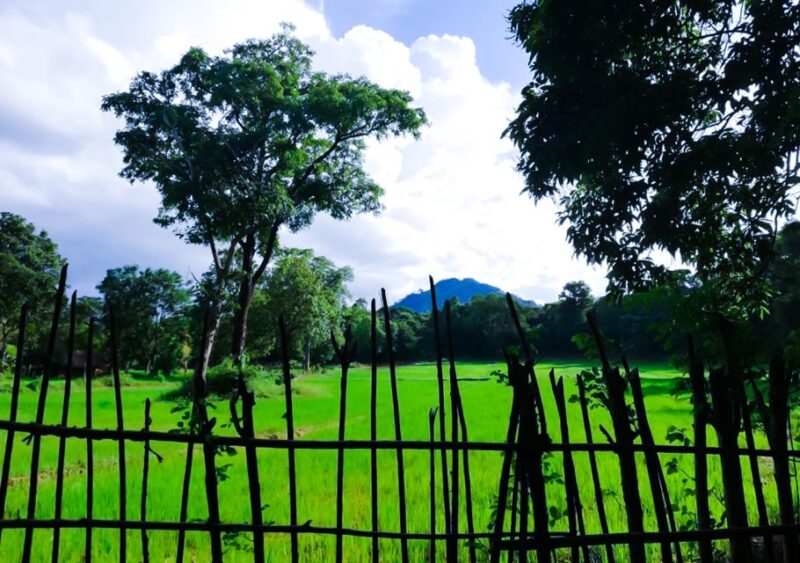 From Kandy: Overnight Tour to Mahiyanganaya - Key Points