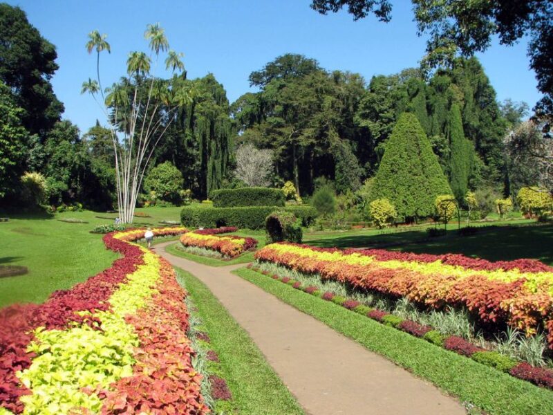 From Kandy: Pinnawala and Botanical Garden Tour By Tuk Tuk - Pinnawala Elephant Orphanage