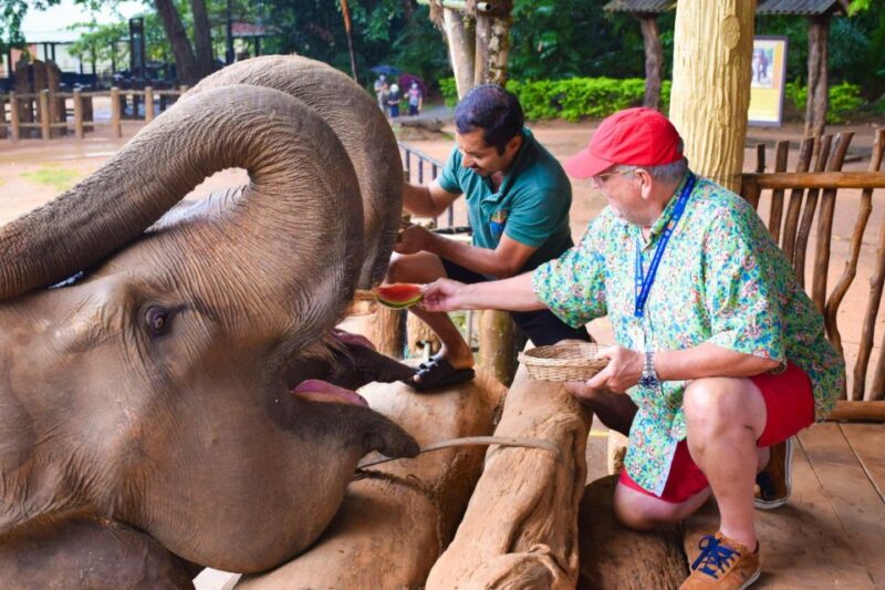 From Kandy: Pinnawala and Botanical Garden Tour By Tuk Tuk - Tea Factory Visit