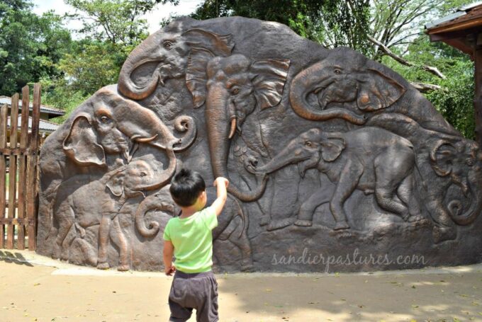 From Kandy: Pinnawala and Botanical Garden Tour By Tuk Tuk - Frequently Asked Questions