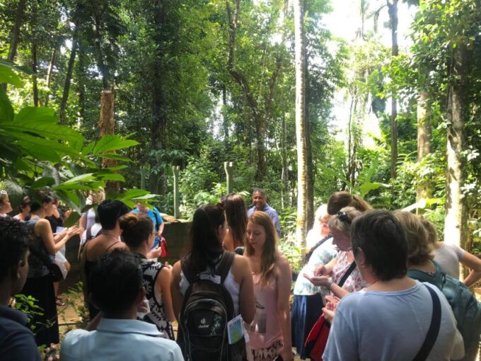 From Kandy: Pinnawala Day Tour - Key Highlights