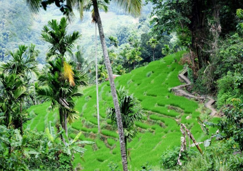 From Kandy: Private Guided Hike to Heeloya - Itinerary Details