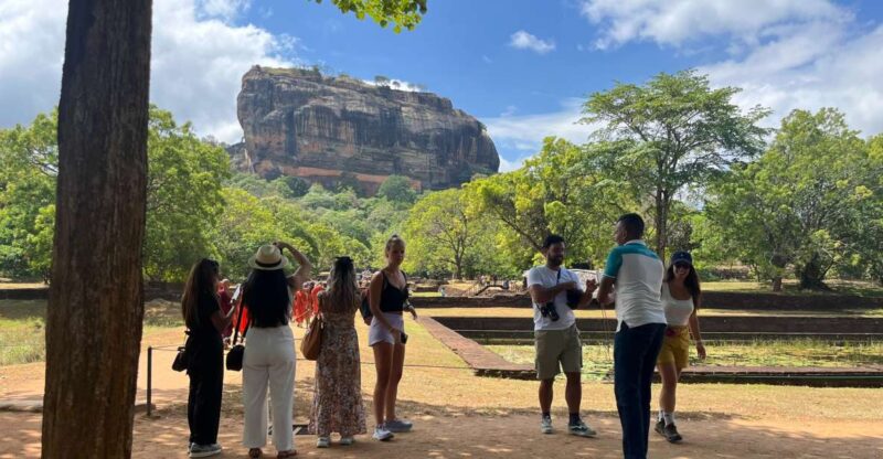 From Kandy: Sigiriya and Dambulla Day Trip - Transportation and Driver