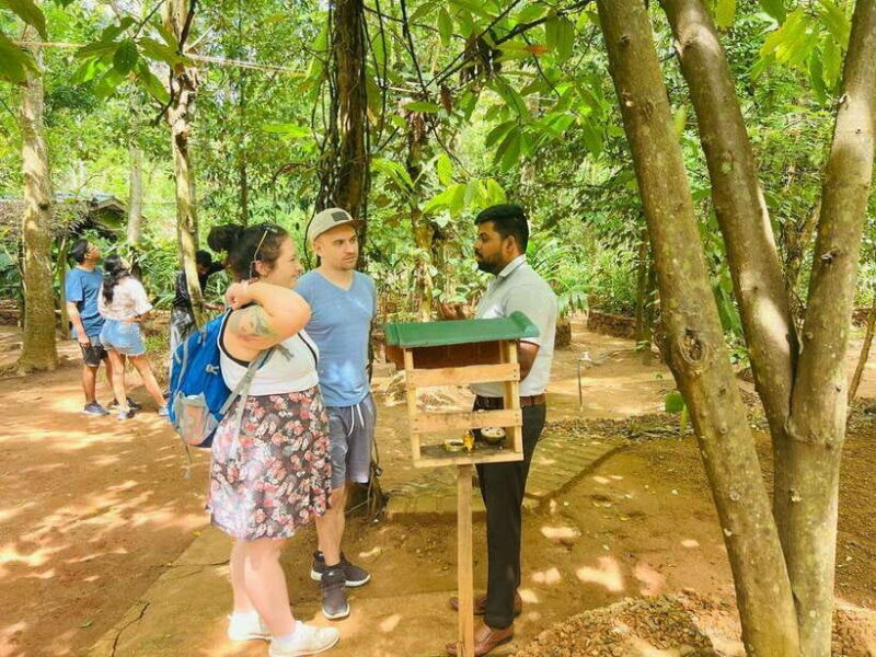From Kandy: Sigiriya Day Tour with Elephant Safari(group) - Is This Tour Worth It?