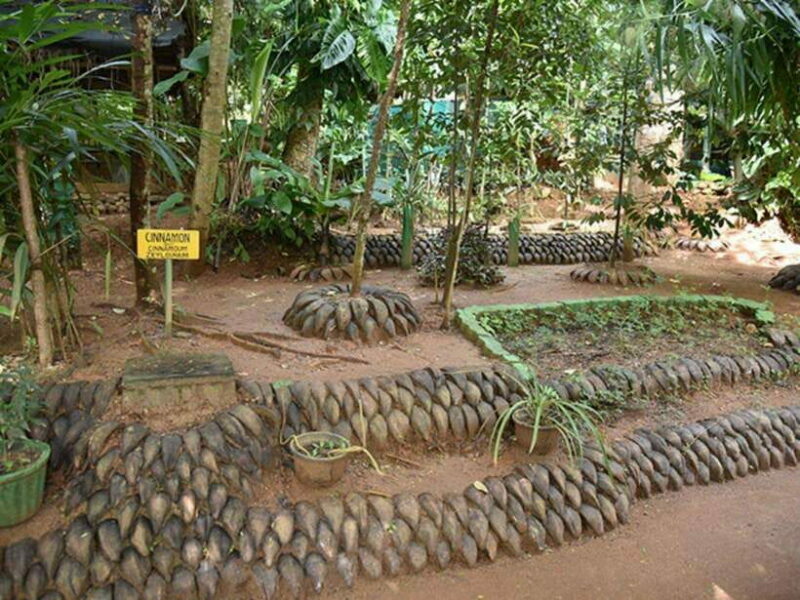 From Kandy: Sigiriya Guided Tuk-Tuk Tour - Overview of the Tour Experience