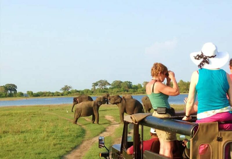 From Kandy : Sigiriya & Minneriya National Park Day Tour - Key Points
