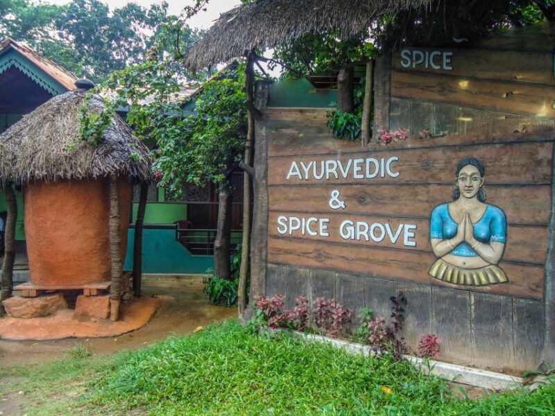From Kandy: Sigiriya Rock and Dambulla Cave Temple Day Tour - Sigiriya Lion Rock