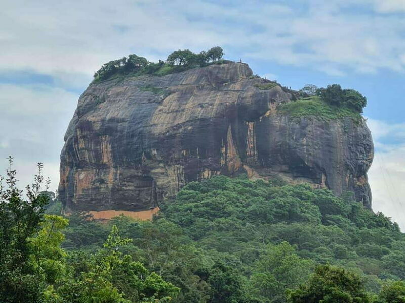 From Kandy: Sigiriya Rock Dambulla & Minneriya Jeep Safari - Who Will Love This Tour?