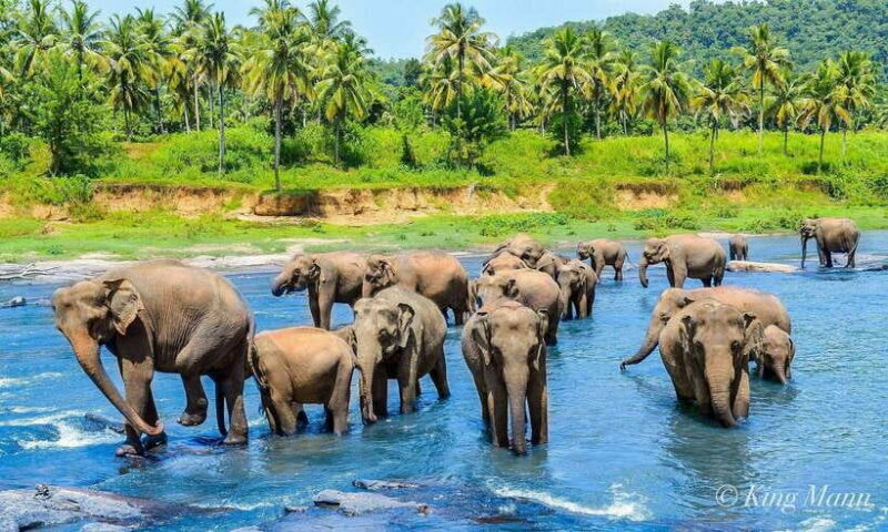 From Kandy To Pinnawala Private Day Tour via Ambuluwawa - A Well-Rounded Tour for Curious Travelers