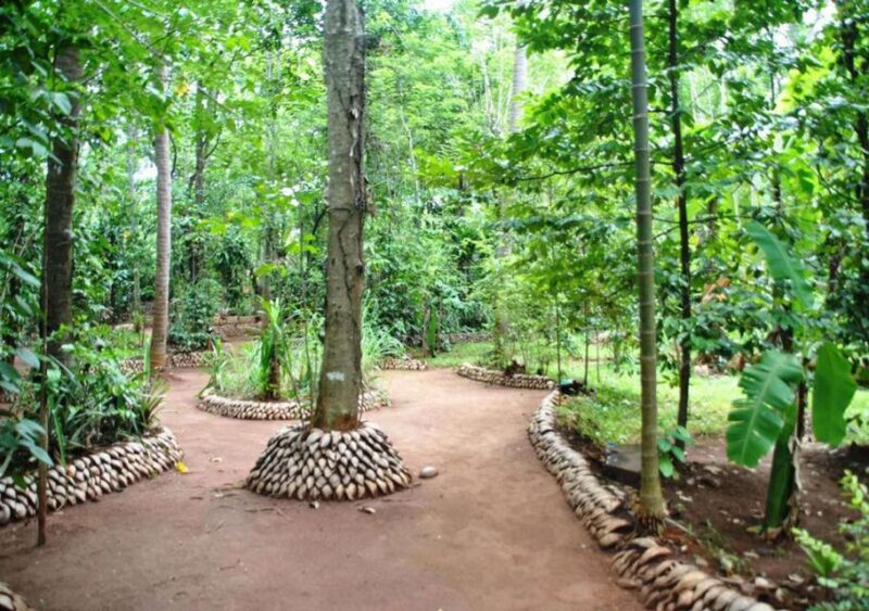 From Kandy: Traditional Spices and Crafts Tour - Frequently Asked Questions