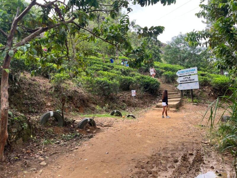 From Kandy Train, and Pool Club Day Tour With Pickup - Itinerary Highlights