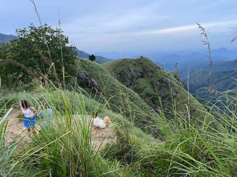 From Kandy Train, and Pool Club Day Tour With Pickup - Customer Experience and Ratings