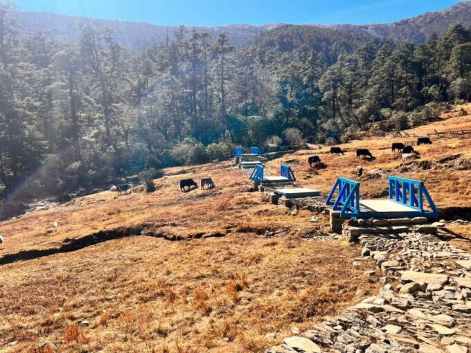 From Kathmandu: 10 Day Pikey Peak Trek - About the Trek Guide