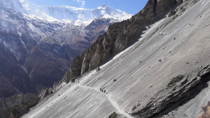 From Kathmandu: 12 Day Tilicho Lake Trek - Inclusions and Services
