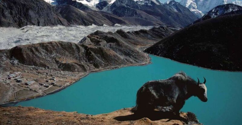 From Kathmandu : 12 Days Gokyo Lakes Trek - Pricing and Booking