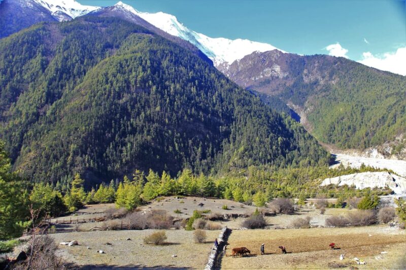 From Kathmandu: 14 Day Annapurna Circuit Trek From Kathmandu - Important Information