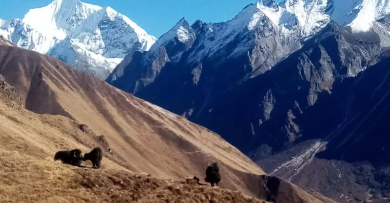 From Kathmandu: 15 Day Manaslu Circuit Trek - Itinerary Highlights