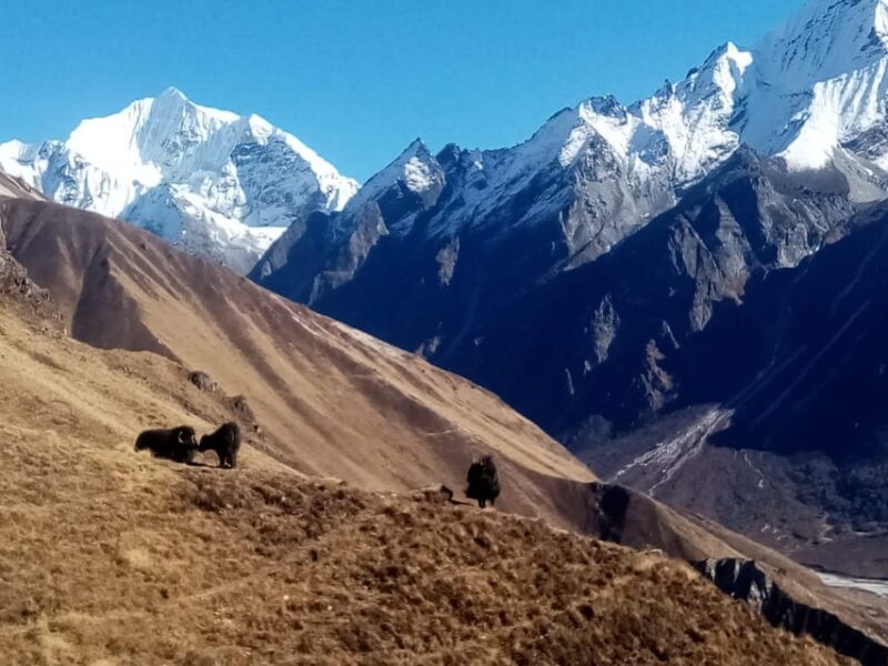 From Kathmandu: 15 Day Manaslu Circuit Trek - Inclusions
