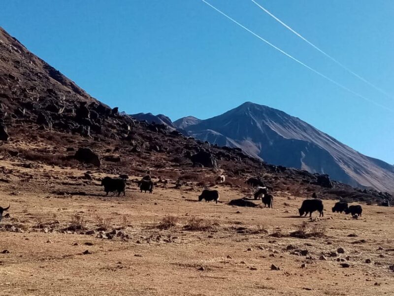 From Kathmandu: 15 Day Manaslu Circuit Trek - Experience and Highlights