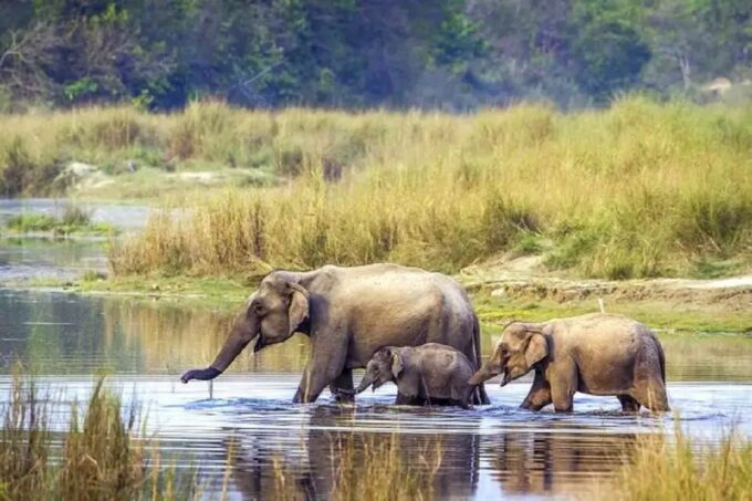 From Kathmandu: 3-Day Chitwan National Park Tour - Transportation and Transfers